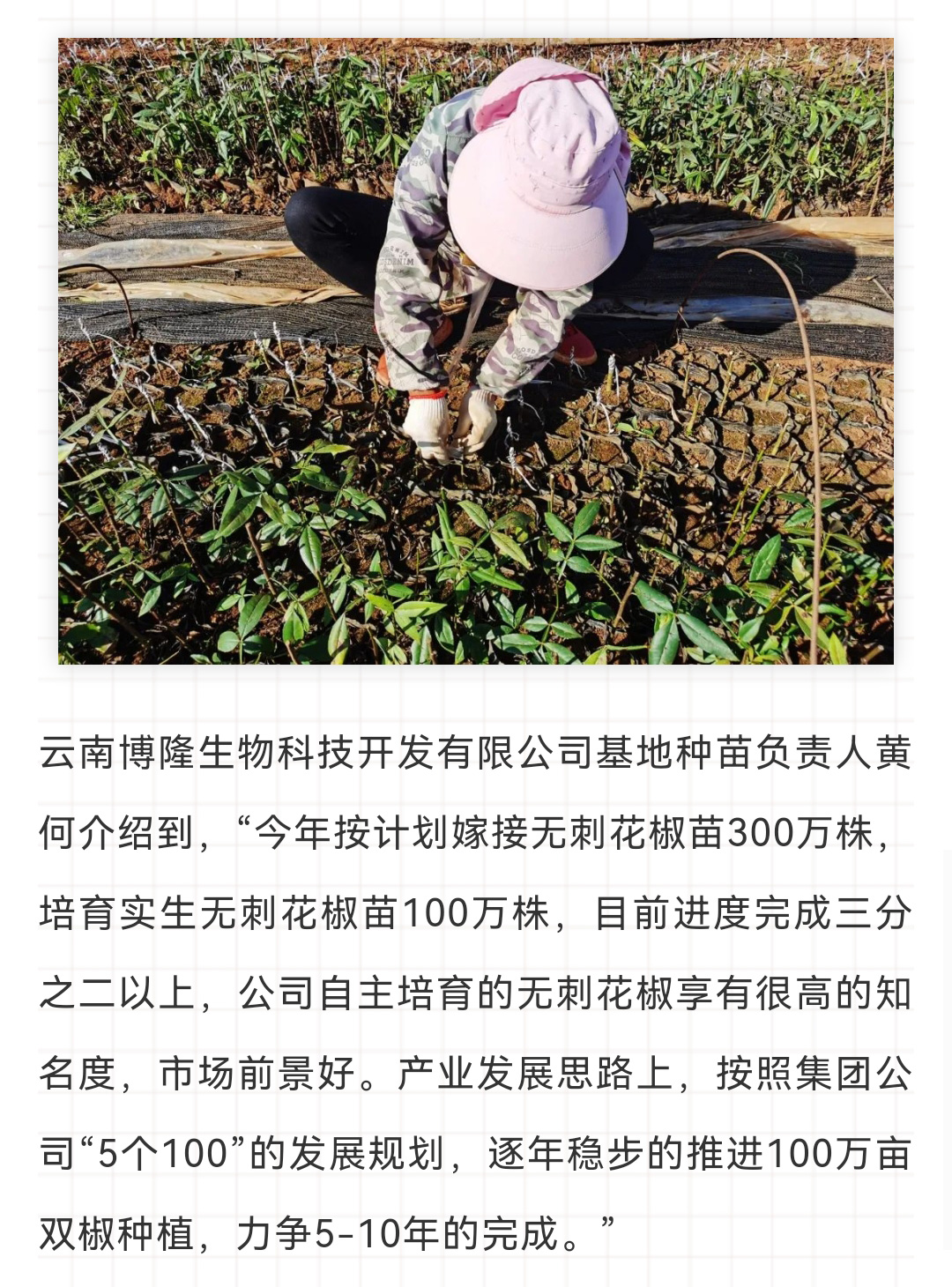 不负春耕好时光-无刺花椒春嫁正当时_02.jpg