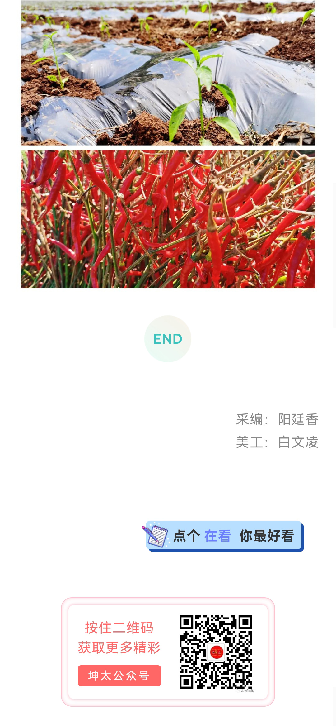 好山好水好生态-坤太辣椒人人爱_04.jpg