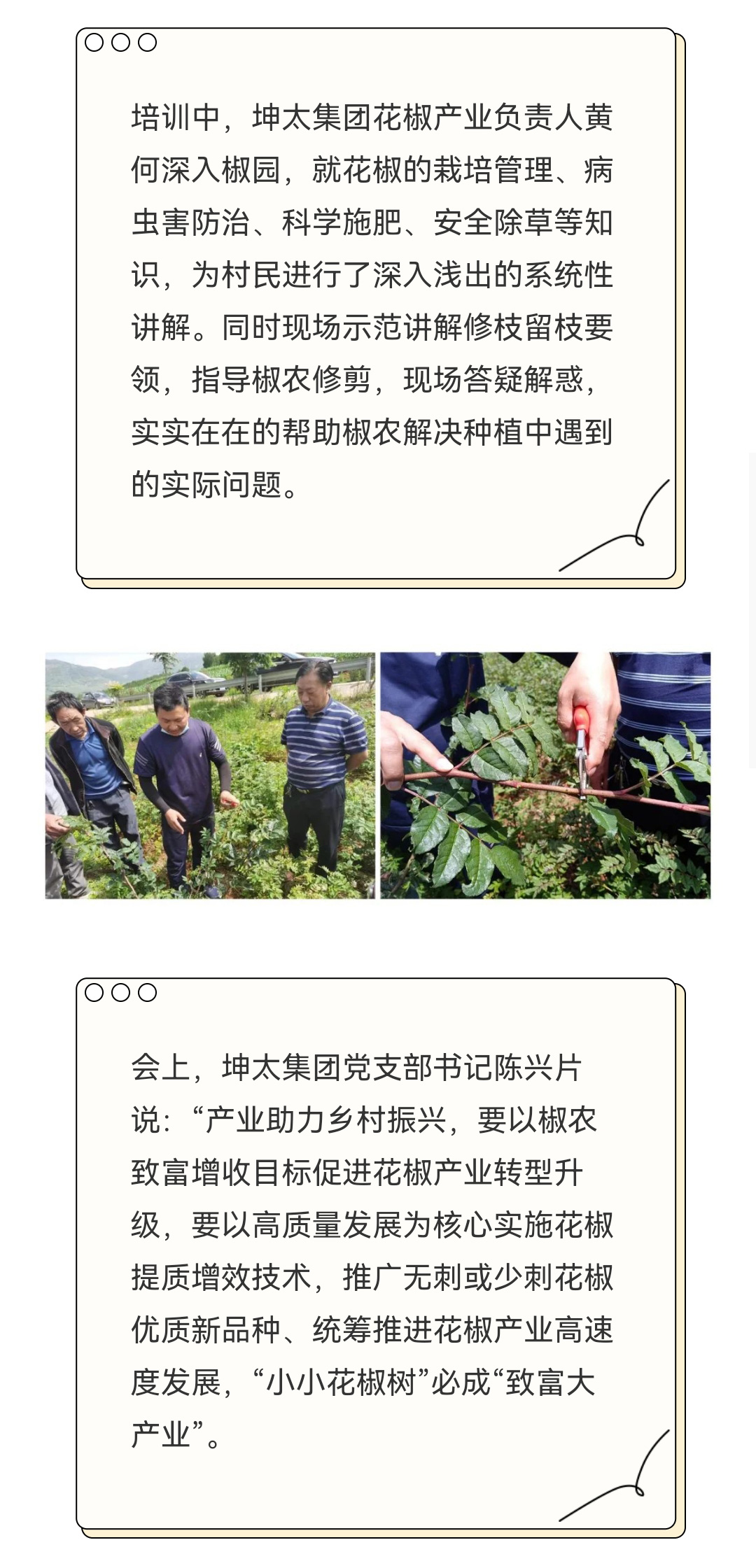会泽竹箐村开展花椒提质增效技术培训会_02.jpg