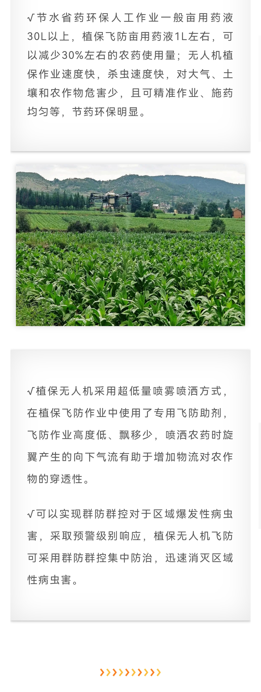 坤太无人机植保技术助力农业科技化_02.jpg