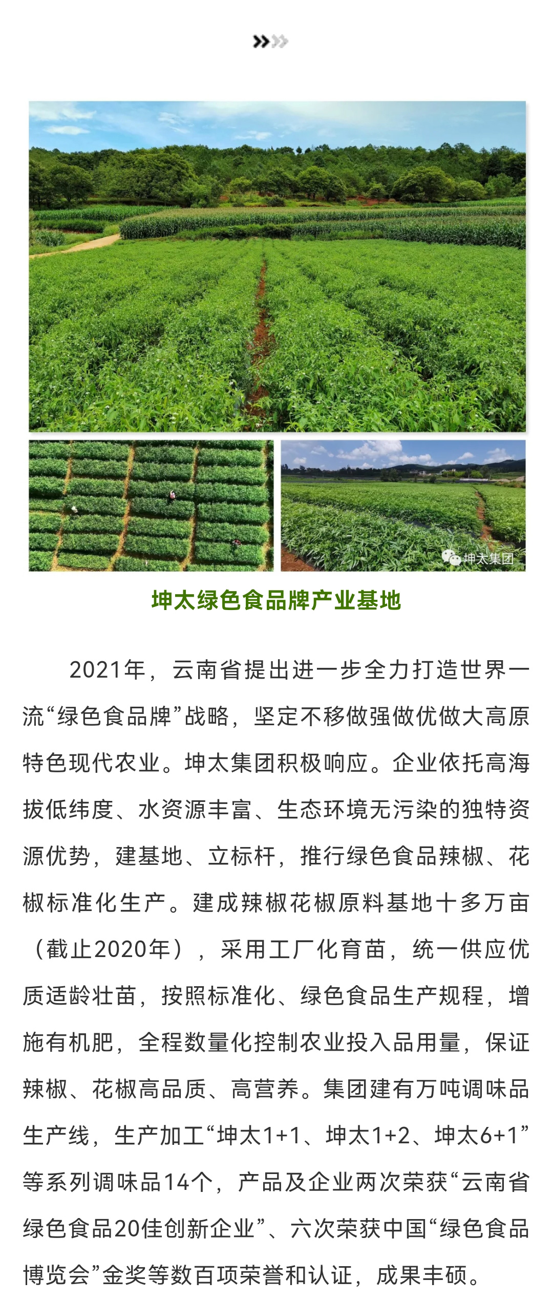 宣威市太坤调味品厂荣获2021年云南省绿色食品“20佳创新企业”_03.jpg