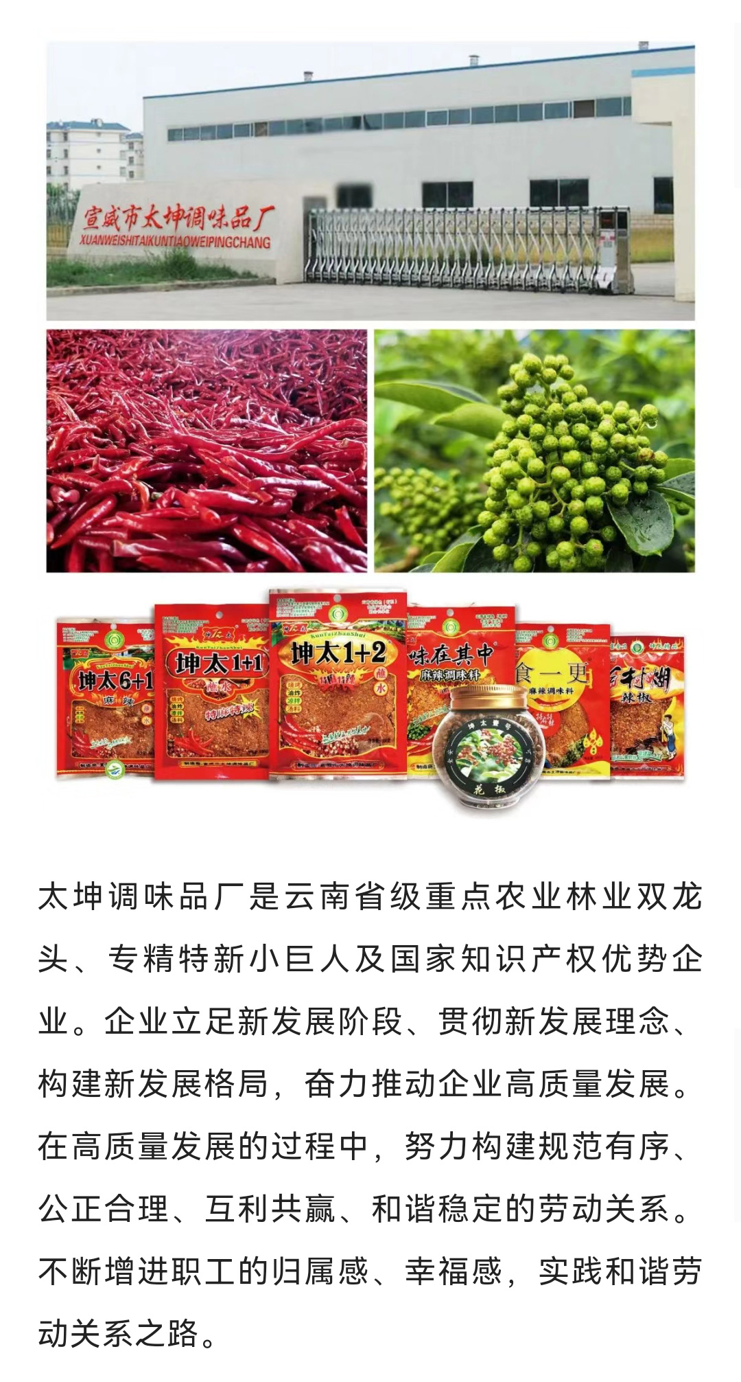 太坤调味品厂荣获“曲靖市劳动关系和谐企业”称号！_02.jpg